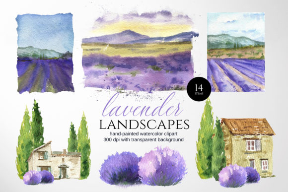 Strategic Visual Storytelling with Provence Lavender Fields Landscapes