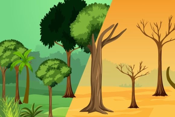 Visualizing Climate Change: The Forest Turned into a Desert Concept